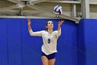 Volleyball vs Babson  Wheaton Women's Volleyball vs Babson College. - Photo by Keith Nordstrom : Wheaton, Volleyball, VB